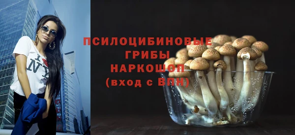 дживик Аркадак