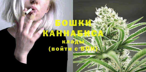 дживик Аркадак